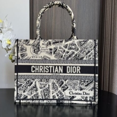 Christian Dior Shopping Bags